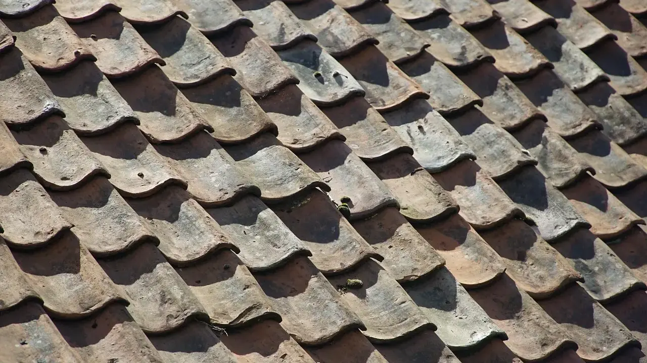 Building Materials Ceramic Tiles