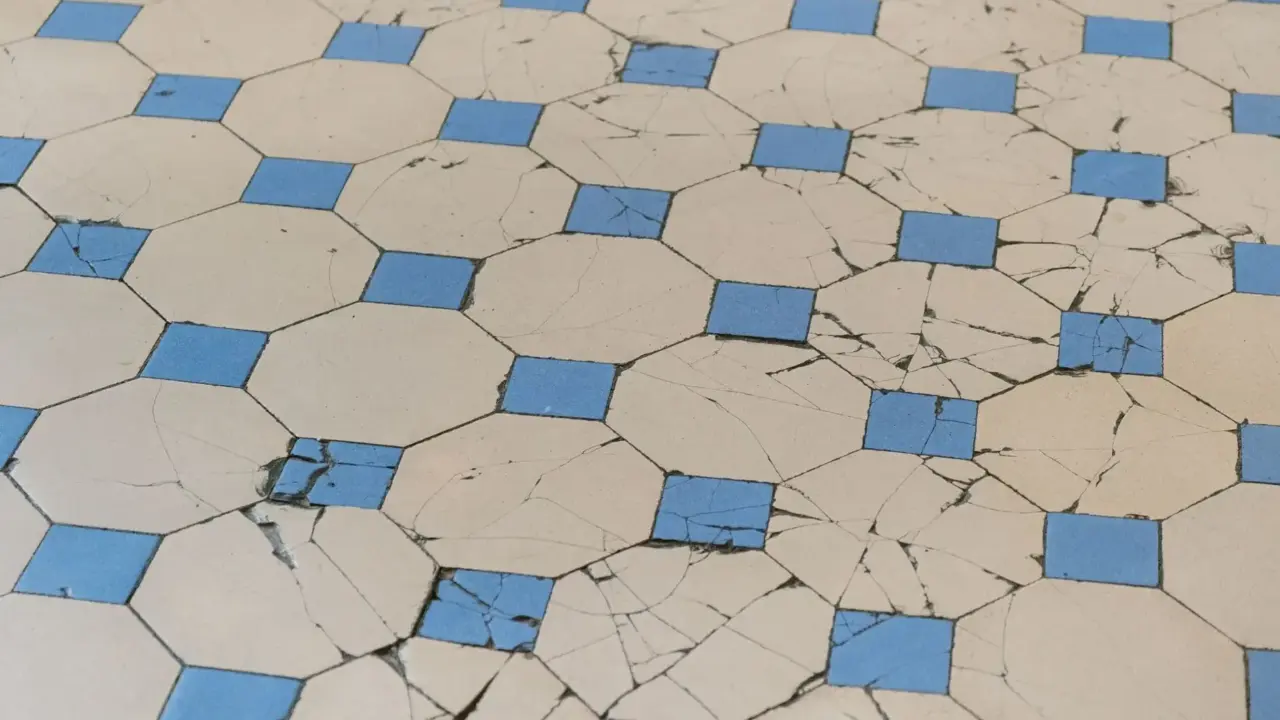 Cracked Floor Broken Tiles