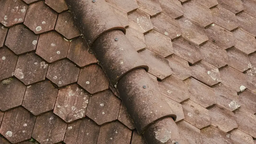 Leaking Roof Roof Tiles