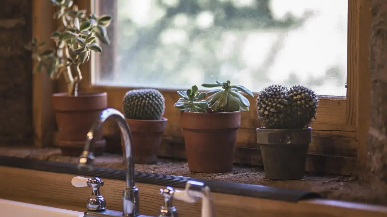Modern Kitchen Bathroom Renovation