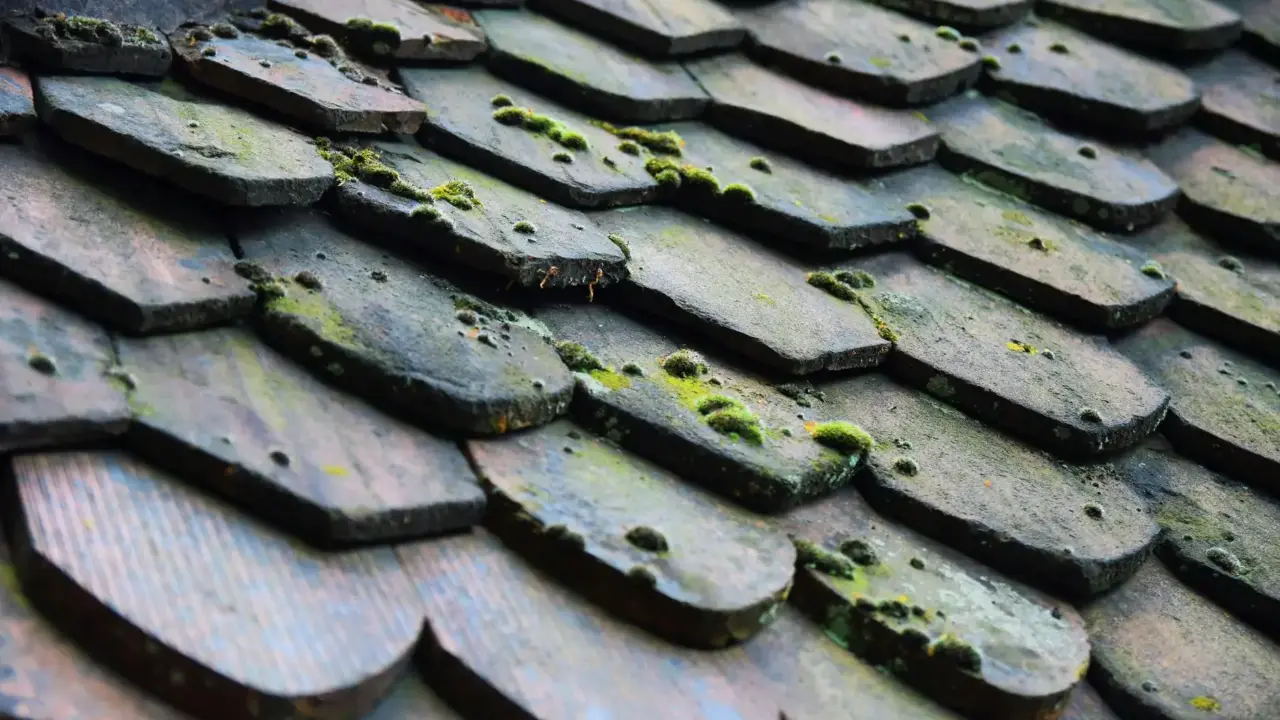 Rain Clouds Roof Inspection
